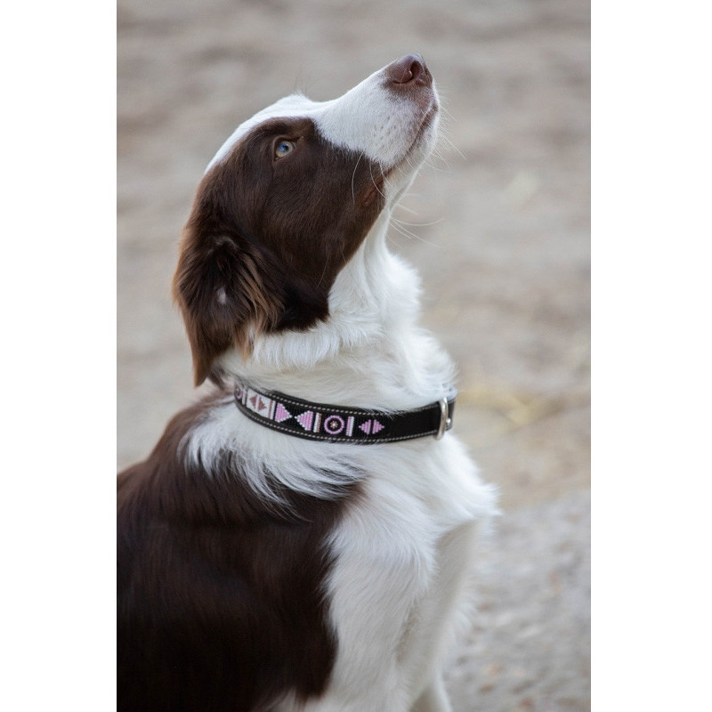 Collier pour chien Pearl Pénélope