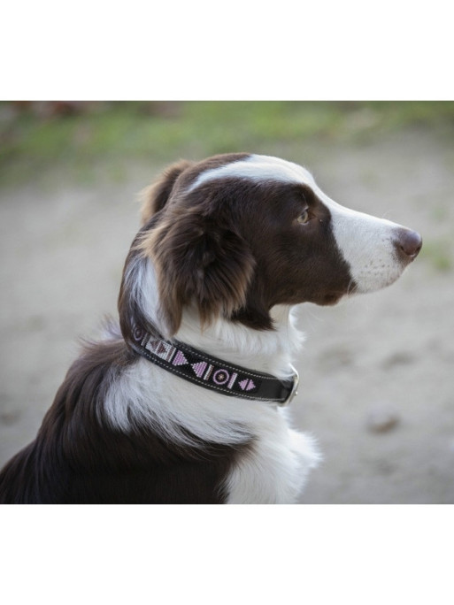 Collier pour chien Pearl Pénélope