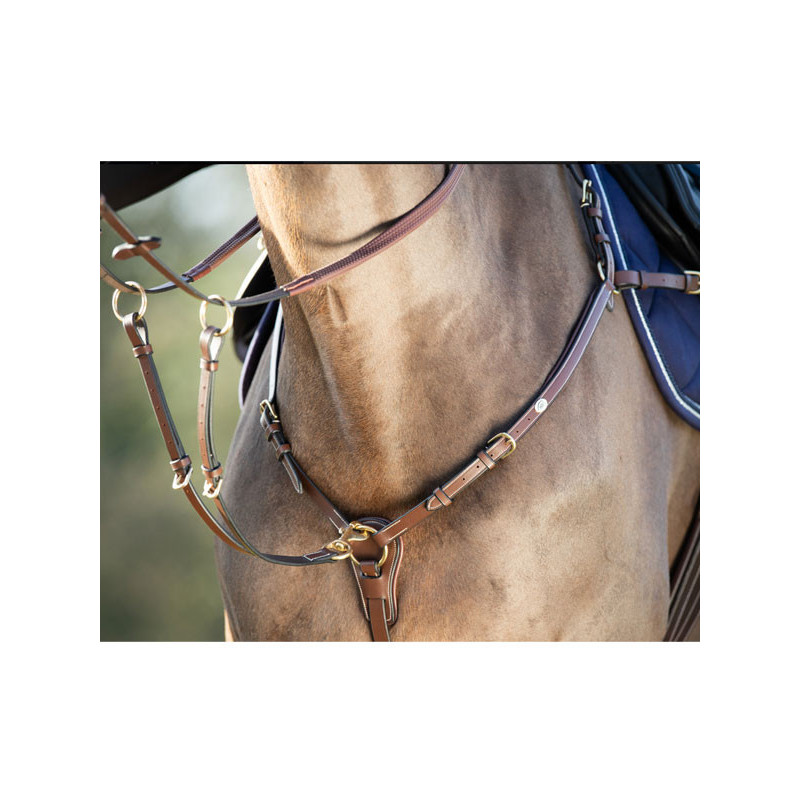 Collier de chasse Long Bridge HFI