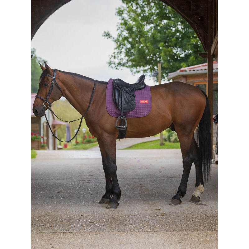 Tapis Léo dressage GEM