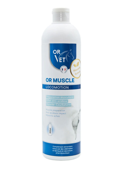 Or-Muscle 500ml Or-Vet