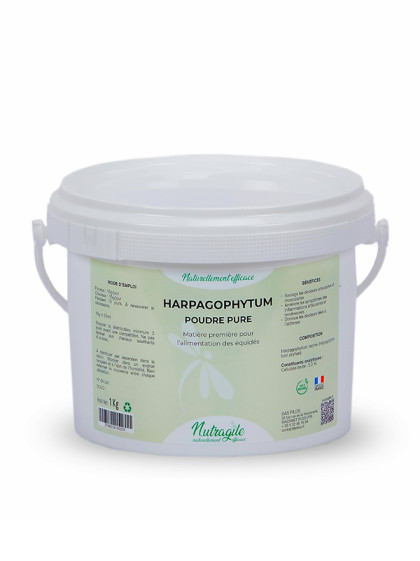 Harpagophytum en poudre 1kg Nutragile