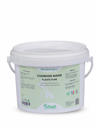 Chardon Marie en poudre 1kg Nutragile