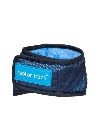 Bandana rafraîchissant pour chien Cool on Track Back On Track