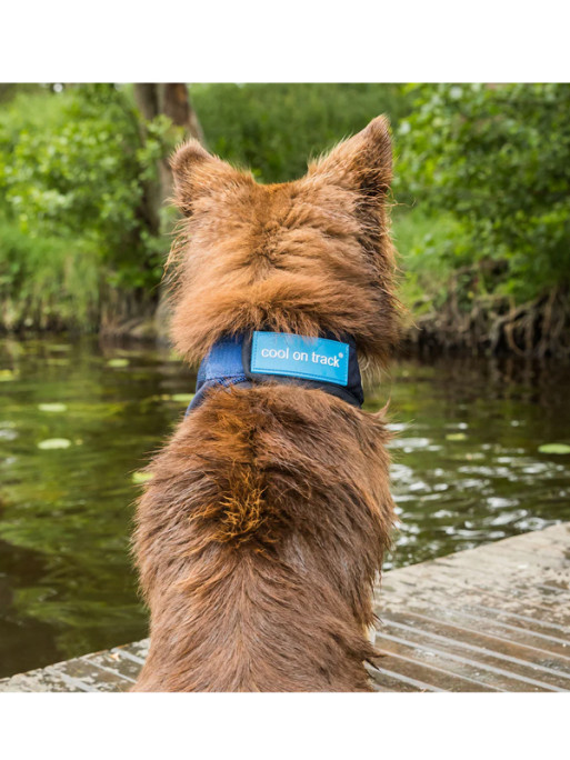 Bandana rafraîchissant pour chien Cool on Track Back On Track