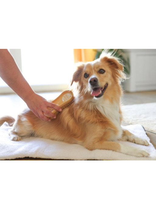 Brosse pour chien Soft MagicBrush