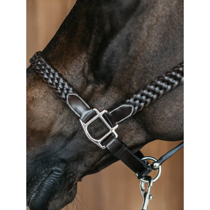 Licol Plaited Halter Working by Dy'on