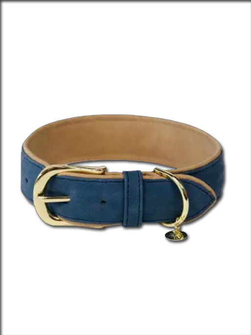 Collier pour Chien Vegan leather Kentucky