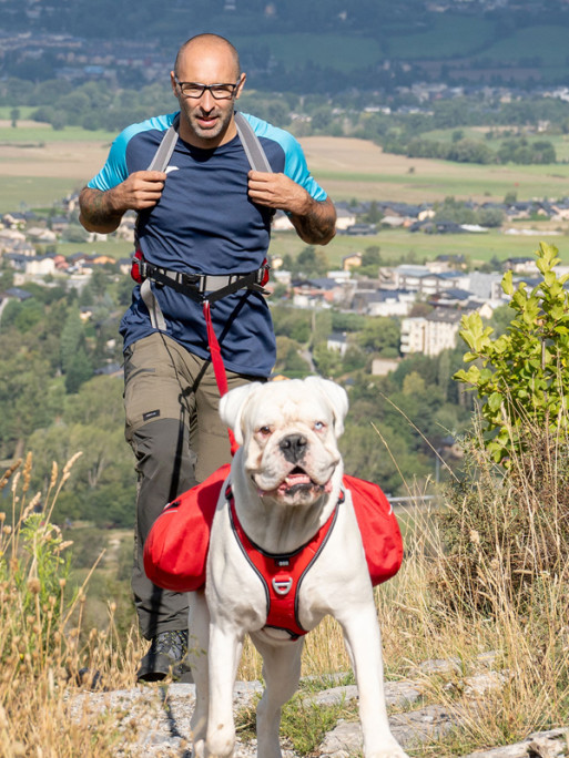 Ceinture sac à dos Ventoux Upka I-Dog