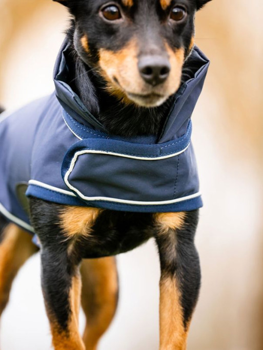 Couverture impérméable pour chien signature Horseware