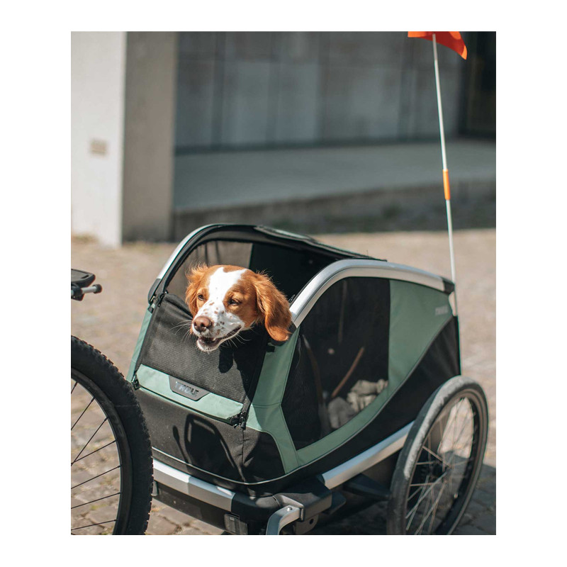 Remorque vélo pour chien Thule Bexey