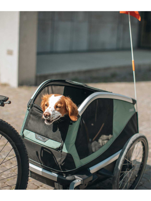 Remorque vélo pour chien Thule Bexey