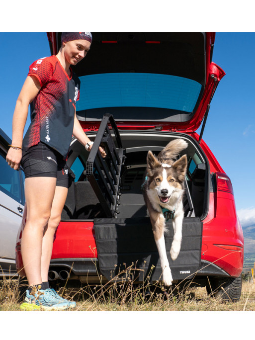 Caisse de transport pour chien Thule Allax