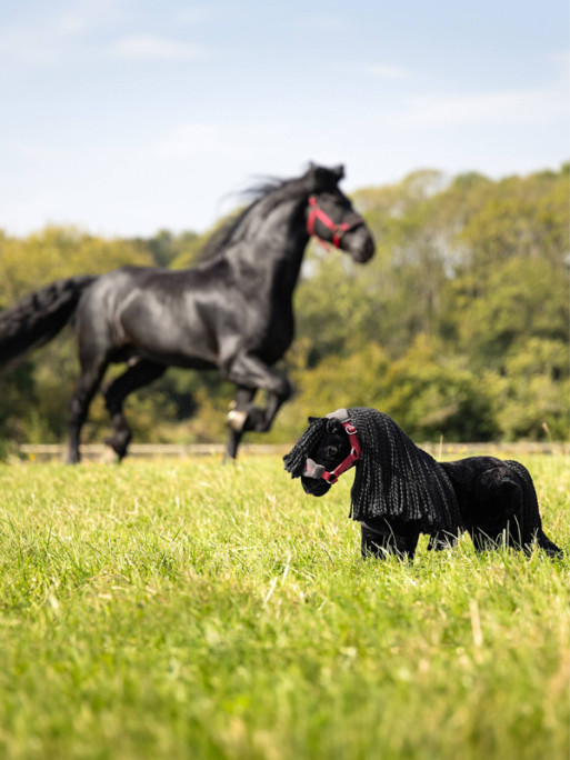 Toy Pony Spike LeMieux