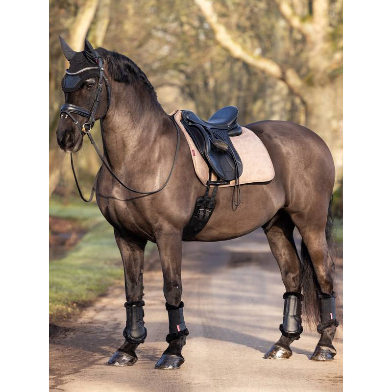 Tapis de travail Dressage LeMieux