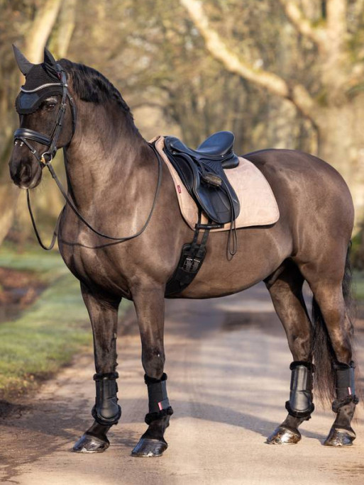 Tapis de travail Dressage LeMieux