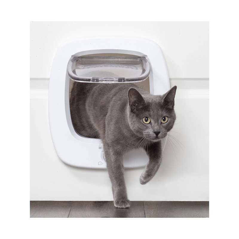 Porte 4 positions Big Cat PetSafe