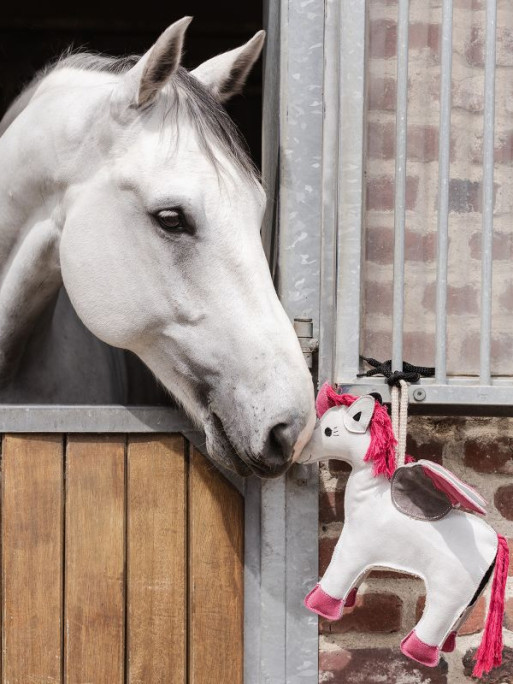 Jouet pour cheval Licorne Emily Waldhausen