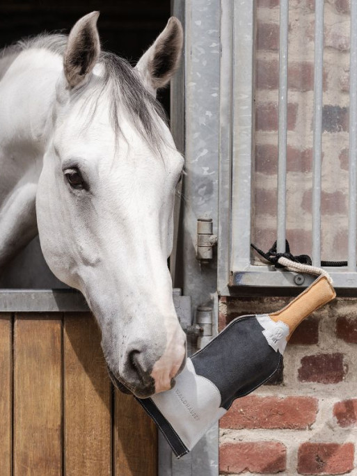 Jouet pour cheval bouteille de champagne Waldhausen