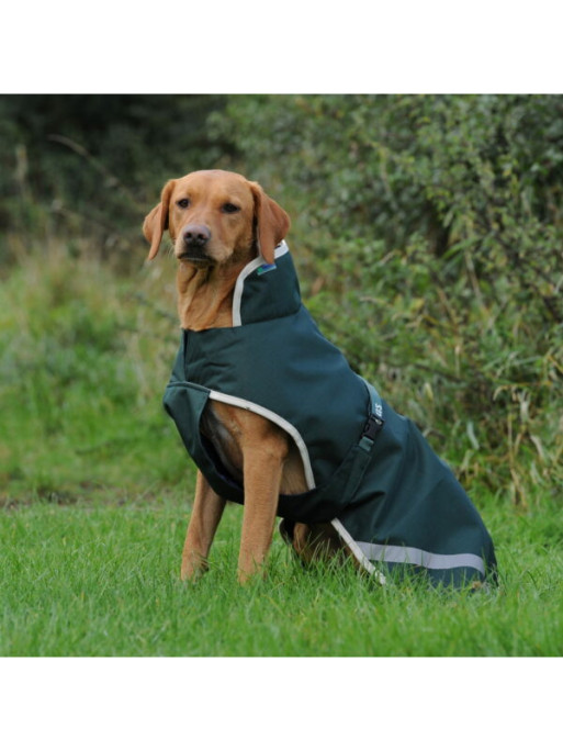 Couverture pour chien Greenline Bucas