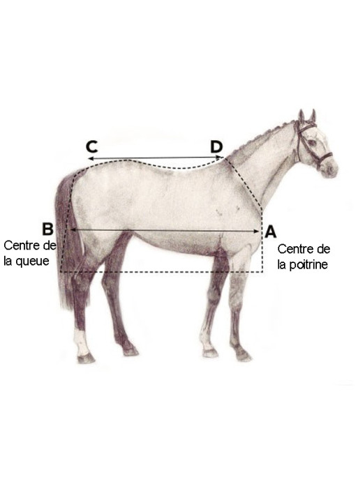 Sous couverture Liner cheval 200g Horseware