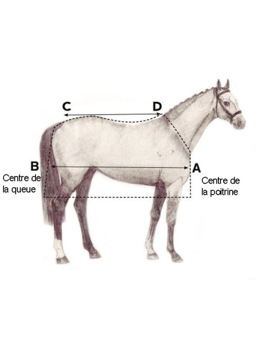 Couverture Rambo Optimo Turnout liner et couvre-cou 400g Horseware