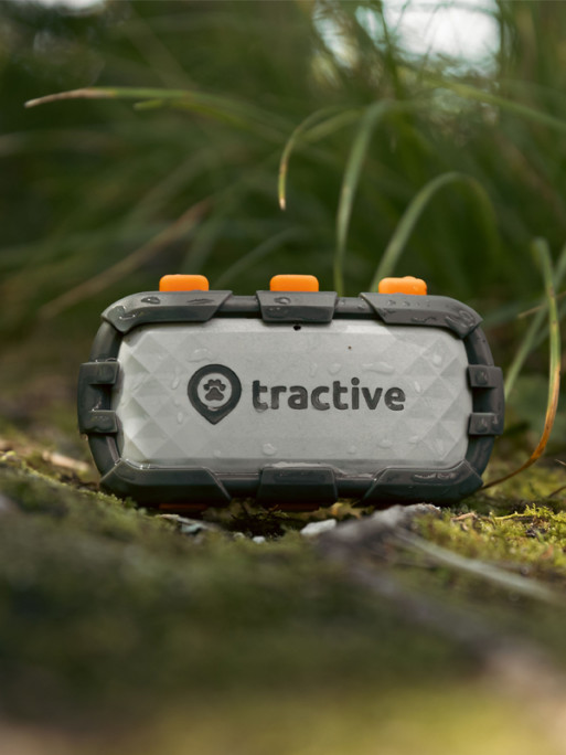 Traceur GPS connecté XL Edition Aventure Tractive