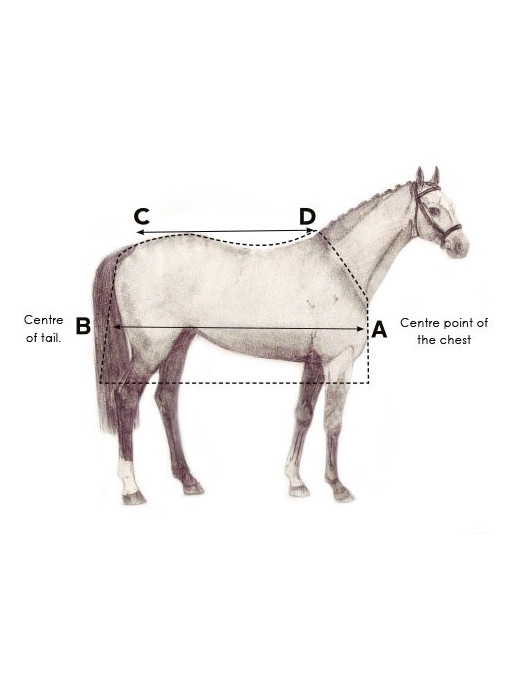 Couvre reins Rambo Competition Sheet Horseware