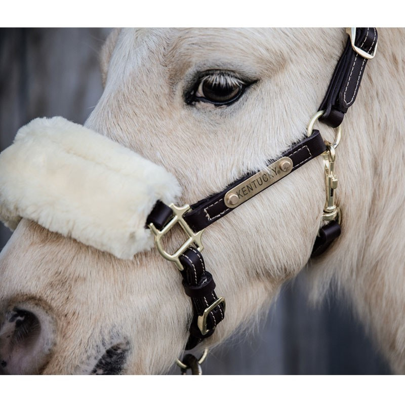 https://www.naturehorse.fr/37098-large_default/licol-cuir-et-mouton-kentucky-poney-shetland.jpg