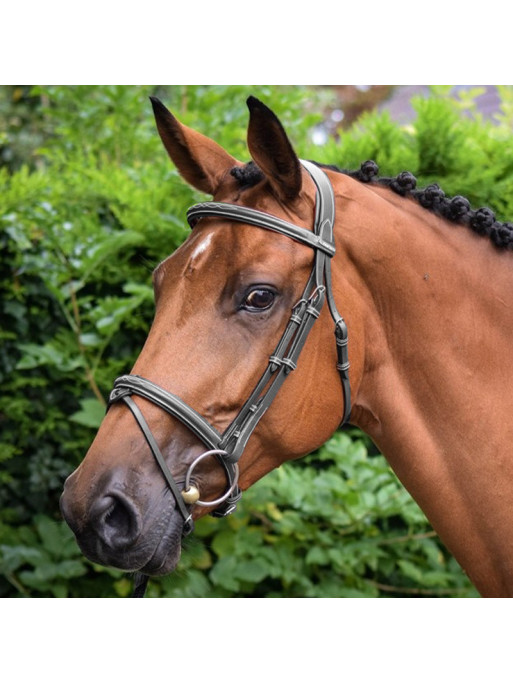 Bridons - Sellerie Equestrial - Passionnément cheval