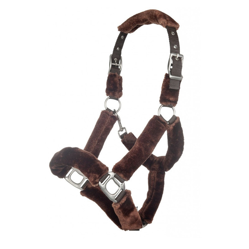 Licol rembourré Teddy Well Style HKM marron