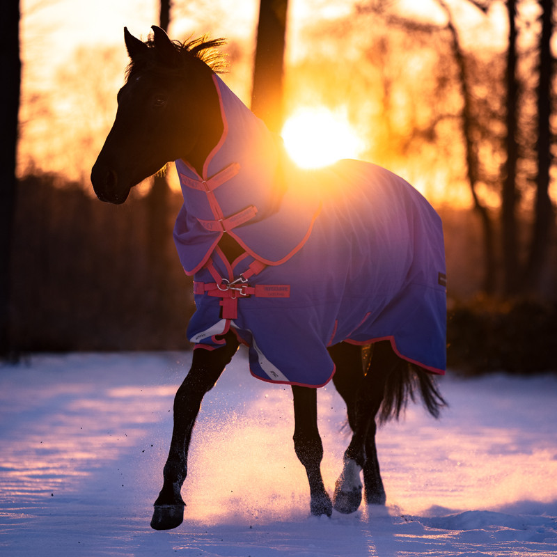 Couverture Amigo Bravo 12 Reflectech Plus 250g Horseware