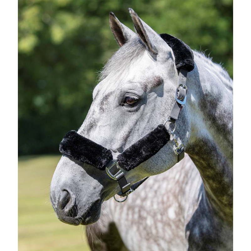 Licol Comfort Headcollar LeMieux