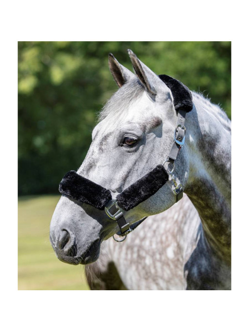 Licol Comfort Headcollar LeMieux