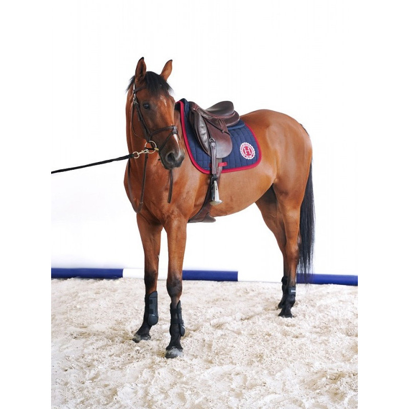 Tapis Safine Dressage hiver 2023 Harcour