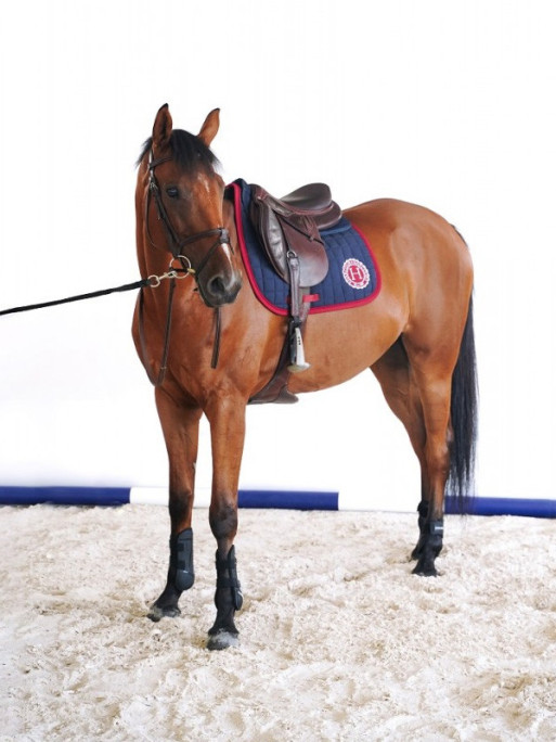 Tapis Safine Dressage hiver 2023 Harcour