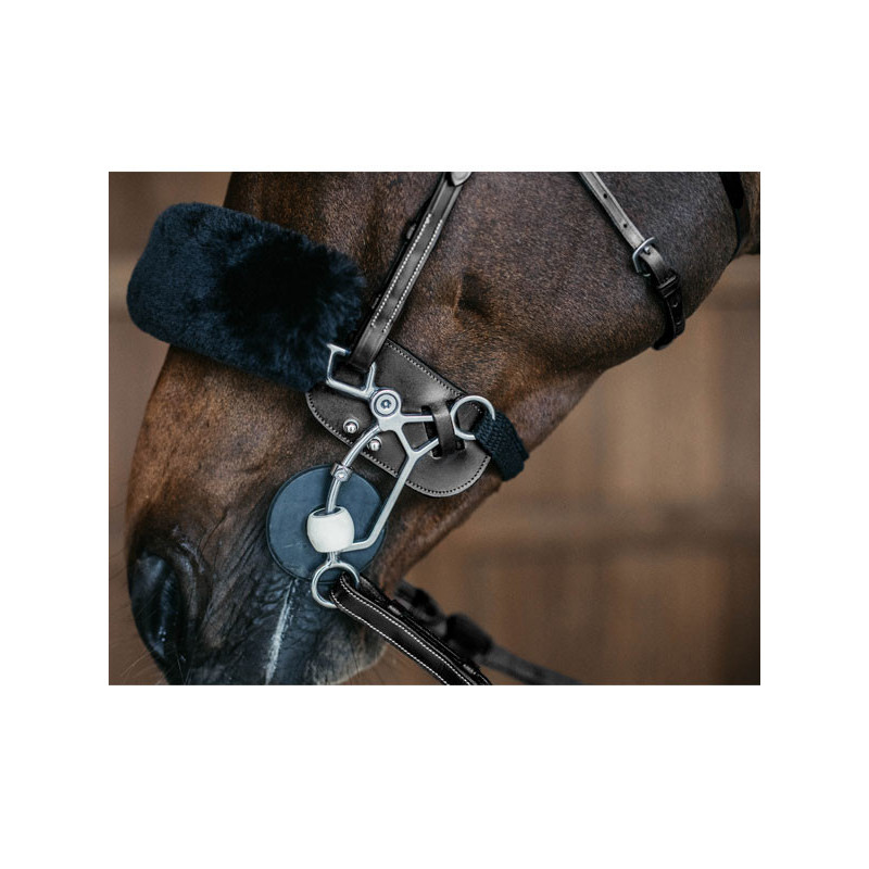 Protection de hackamore New English / La Cense by Dy'on